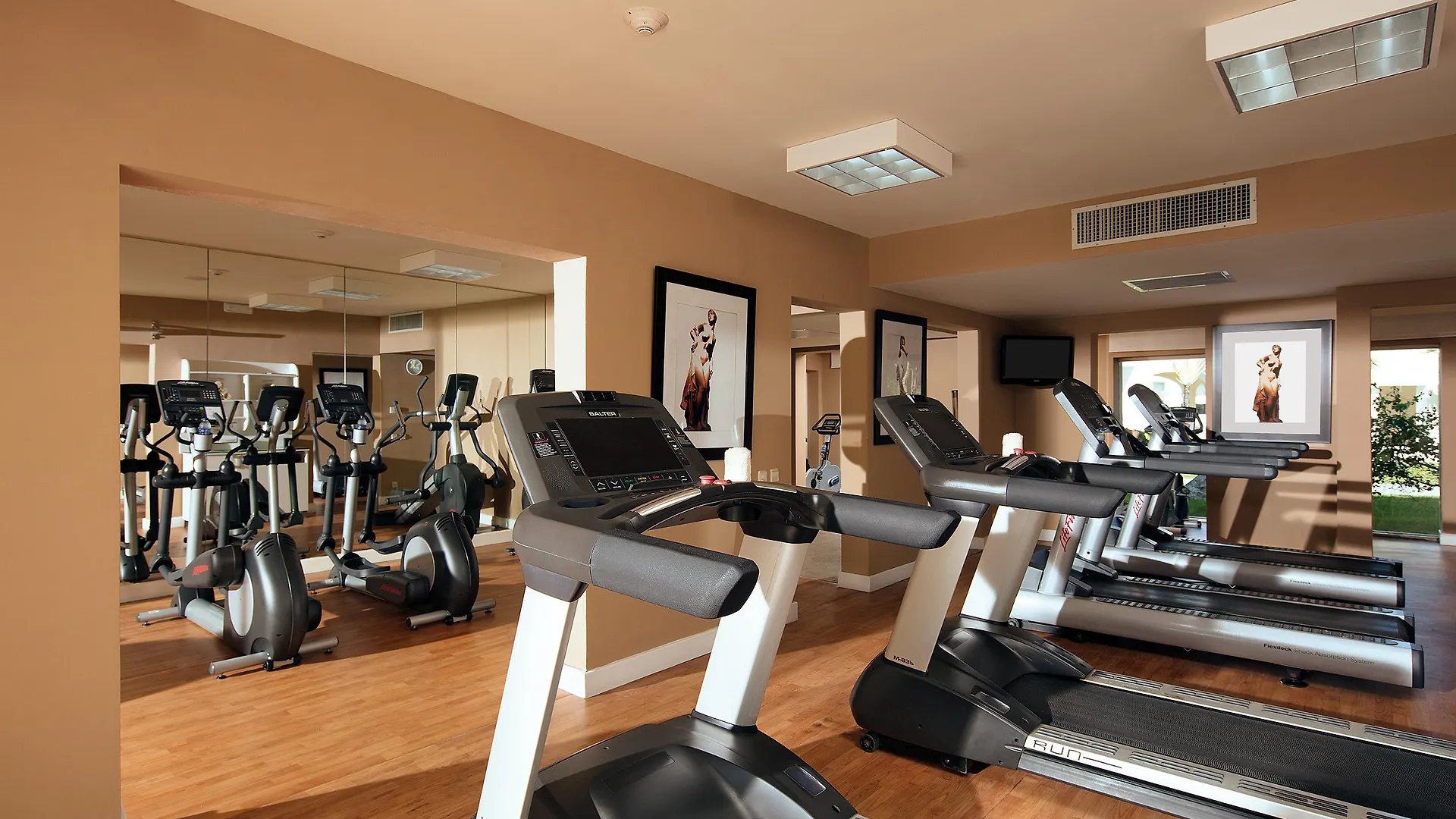 Dreams Royal Beach Punta Cana (Adults Only) Station touristique