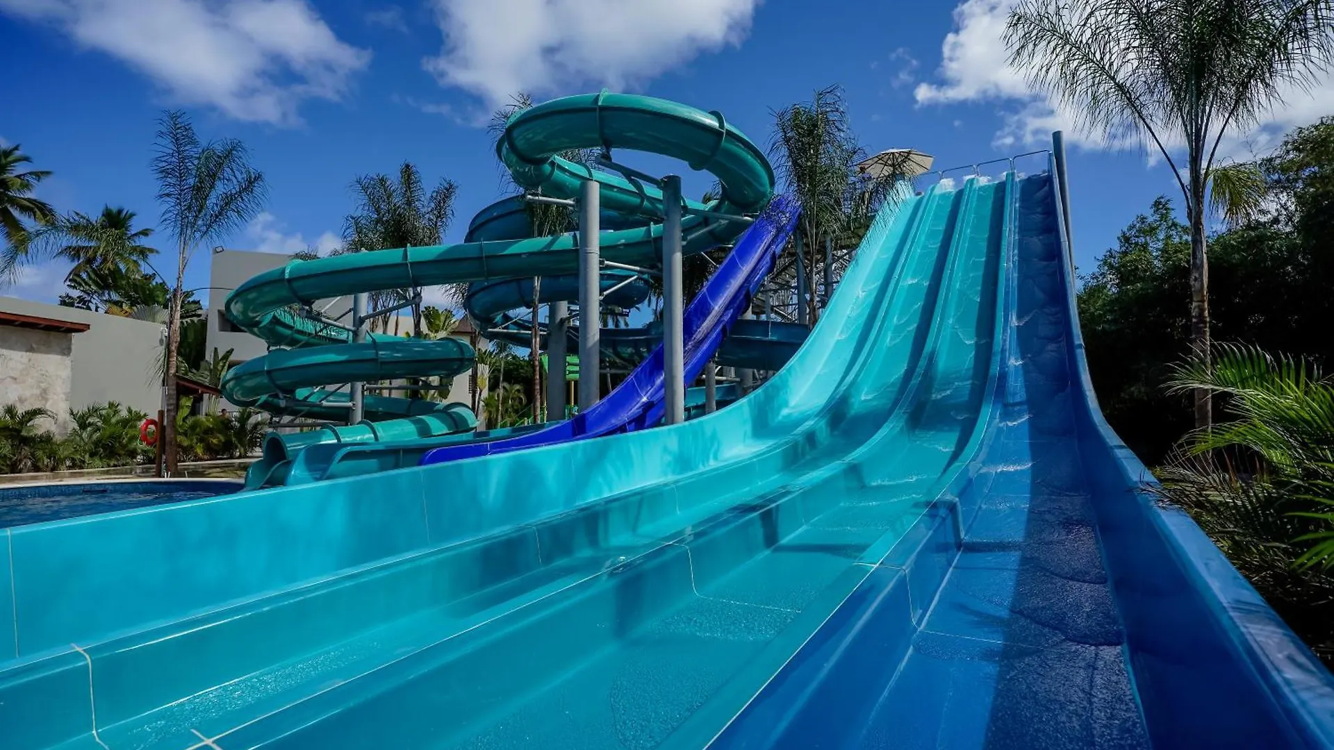 Dreams Royal Beach Punta Cana (Adults Only)